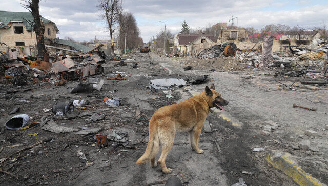 Spectral city: Russians leave behind trail of death in Bucha as they retreat