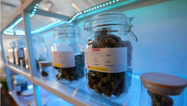 Thailand makes marijuana legal but not for smoking