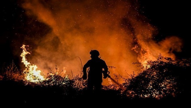 ‘Heat apocalypse’: From France to Britain, forest fires wreak havoc across Europe