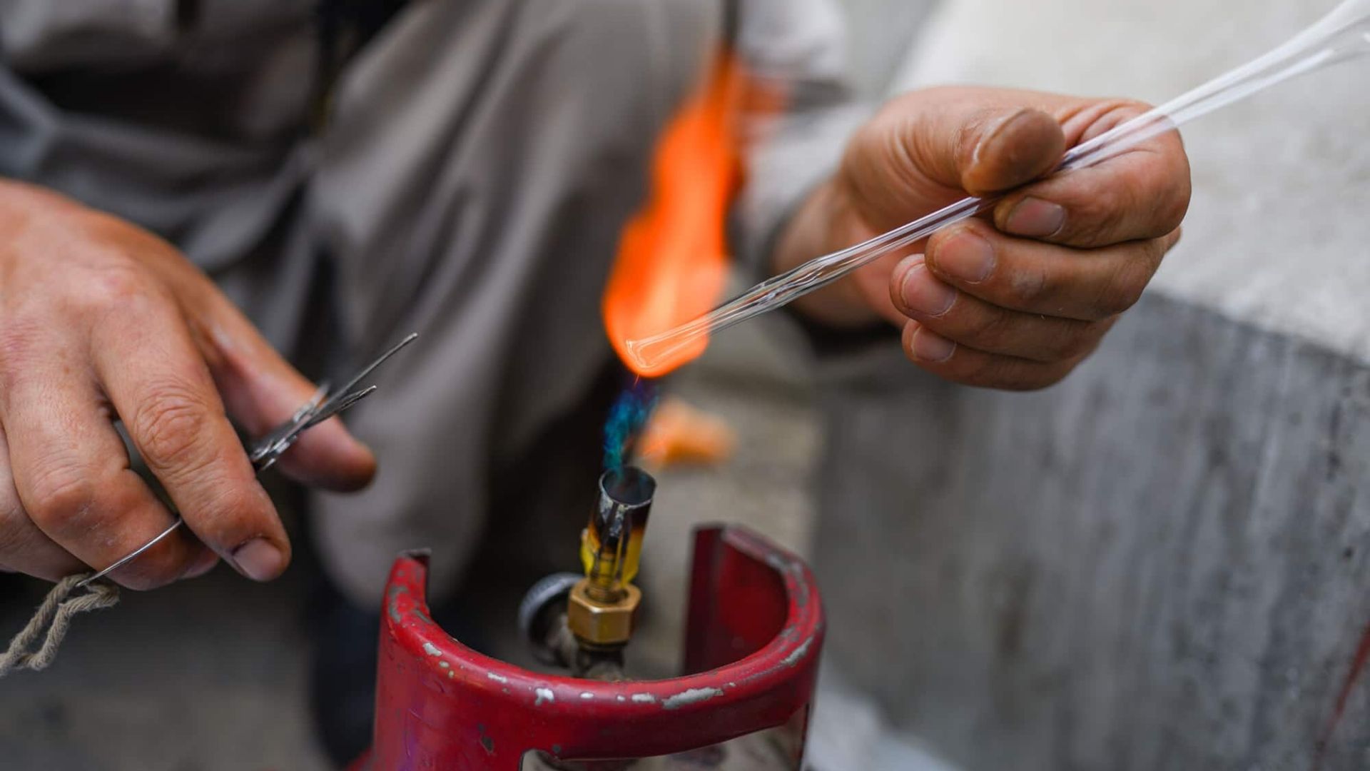 In Afghanistan The Wild Ephedra Shrub Breathes New Life Into Countrys Meth Epidemic Firstpost